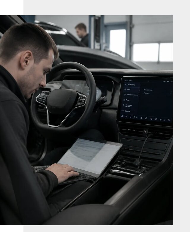Русификация автомобилей BYD под ключ для всех моделей в Борисоглебске