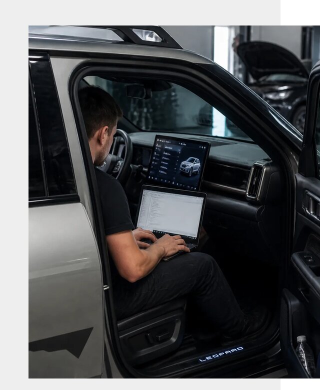 Русификация BYD Leopard 3 в Борисоглебске по цене от 20704 р. | ФастМобиль-Брс